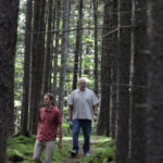 researchers walk through forest